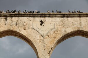 Photo by Jorge Fernández Salas on Unsplash